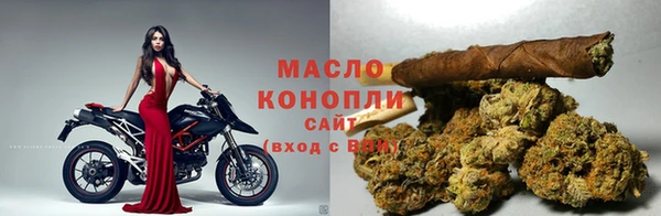 эйфоретик Вяземский