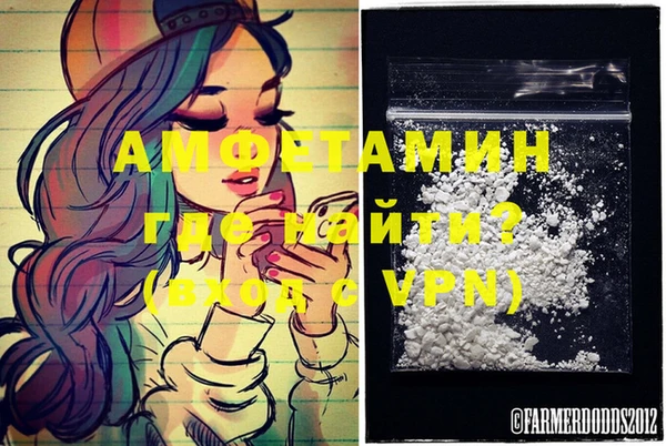 эйфоретик Вяземский