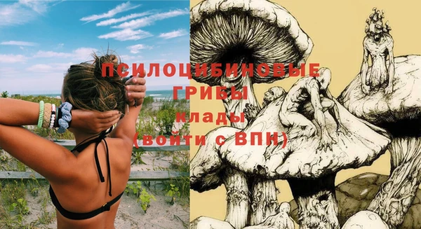 эйфоретик Вяземский