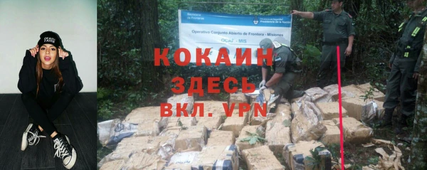 ALPHA PVP Горняк
